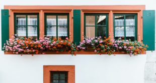 Choisir les bonnes plantes et fleurir son balcon en ville, c'est simple !