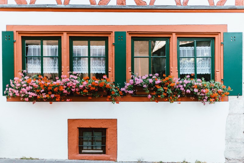 Choisir les bonnes plantes et fleurir son balcon en ville, c'est simple !