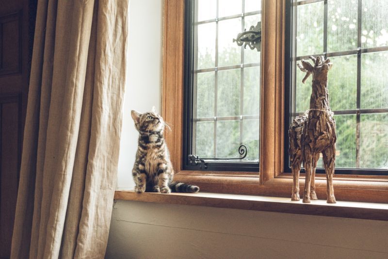 les rebords de fenêtres sont un atout décoration