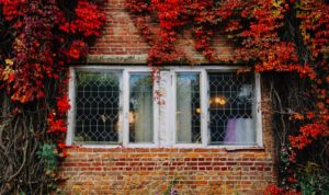 Fenetre en automne - Nazar Hrabovyi unsplash Comment lutter contre l’humidité dans la maison en automne ?