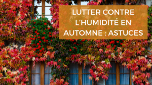 Comment lutter contre l’humidité dans la maison en automne ?