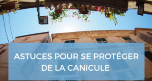 canicule