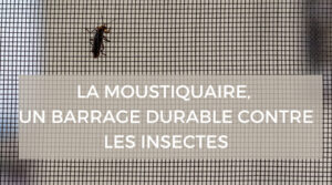 Manuel de survie en temps de moustiques et autres insectes