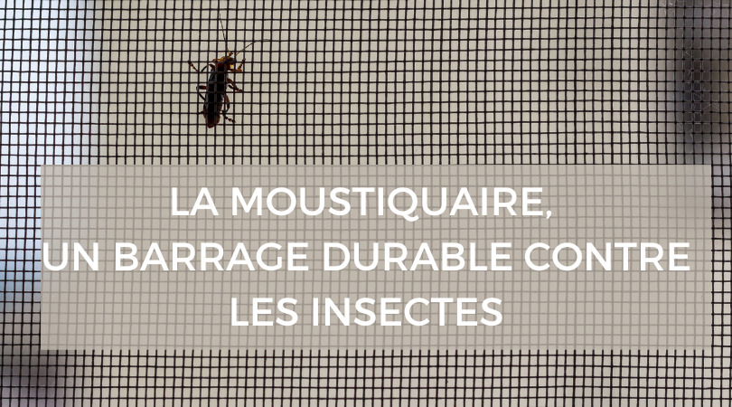 WEIQUN Moustiquaire pour fenêtre à insectes moustiquaire DIY 150 x 300 cm peut être découpée sur toutes les tailles de fenêtre 